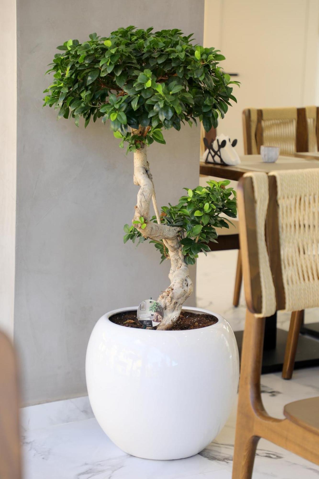 Niklas Boutique Hotel Sarandë Eksteriør bilde